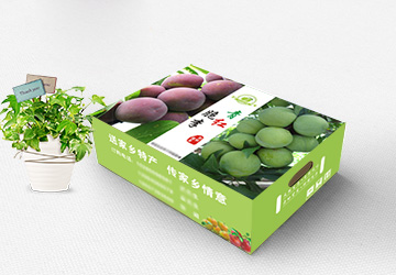 青脆李包装盒-红脆李包装箱定做-天地盖彩箱厂家